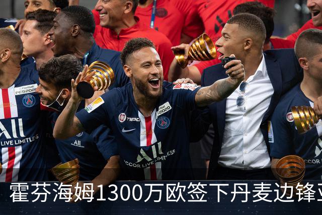 霍芬海姆1300万欧签下丹麦边锋亚当·达吉姆